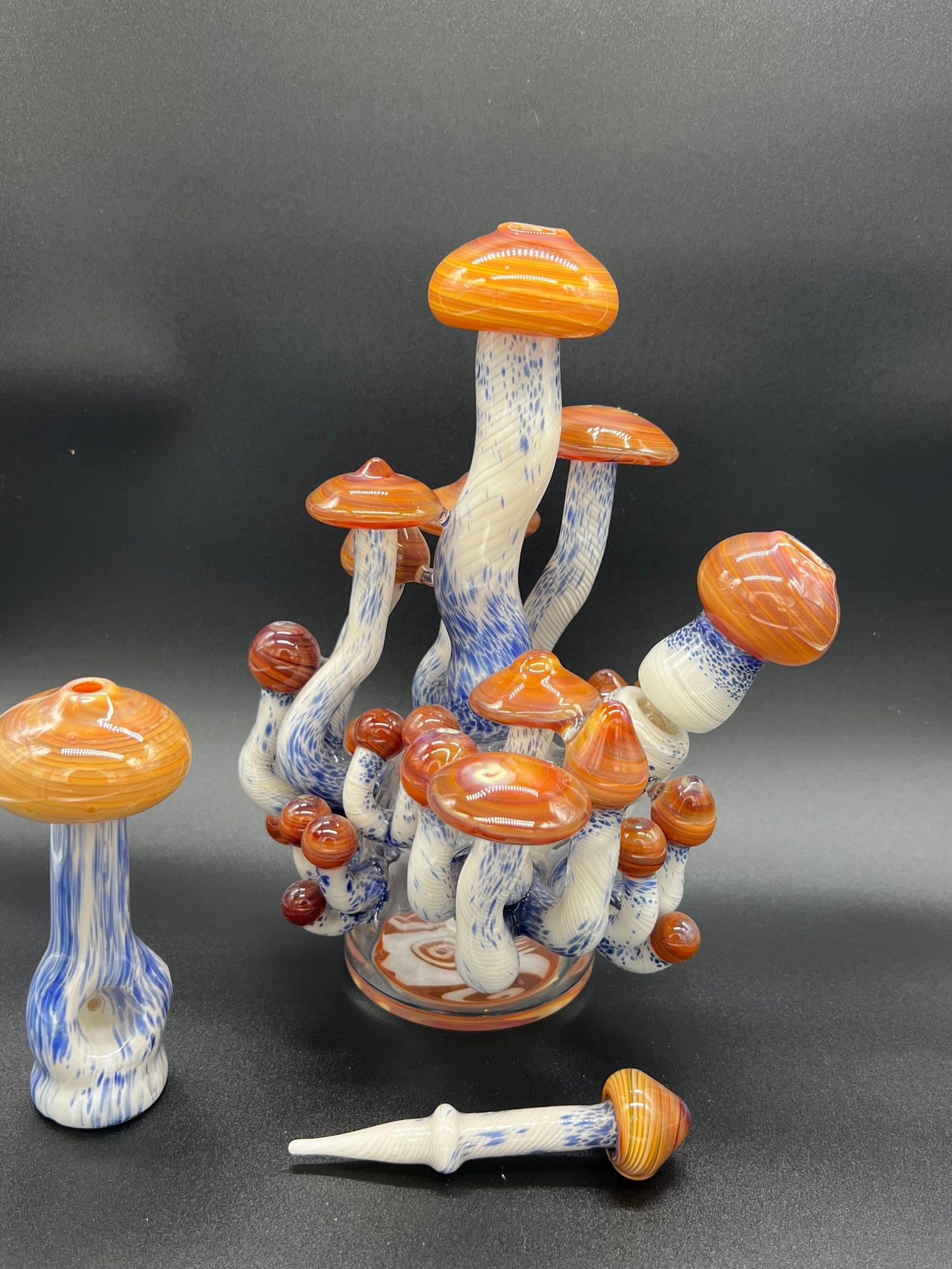 Casey Ferran Mushroom set