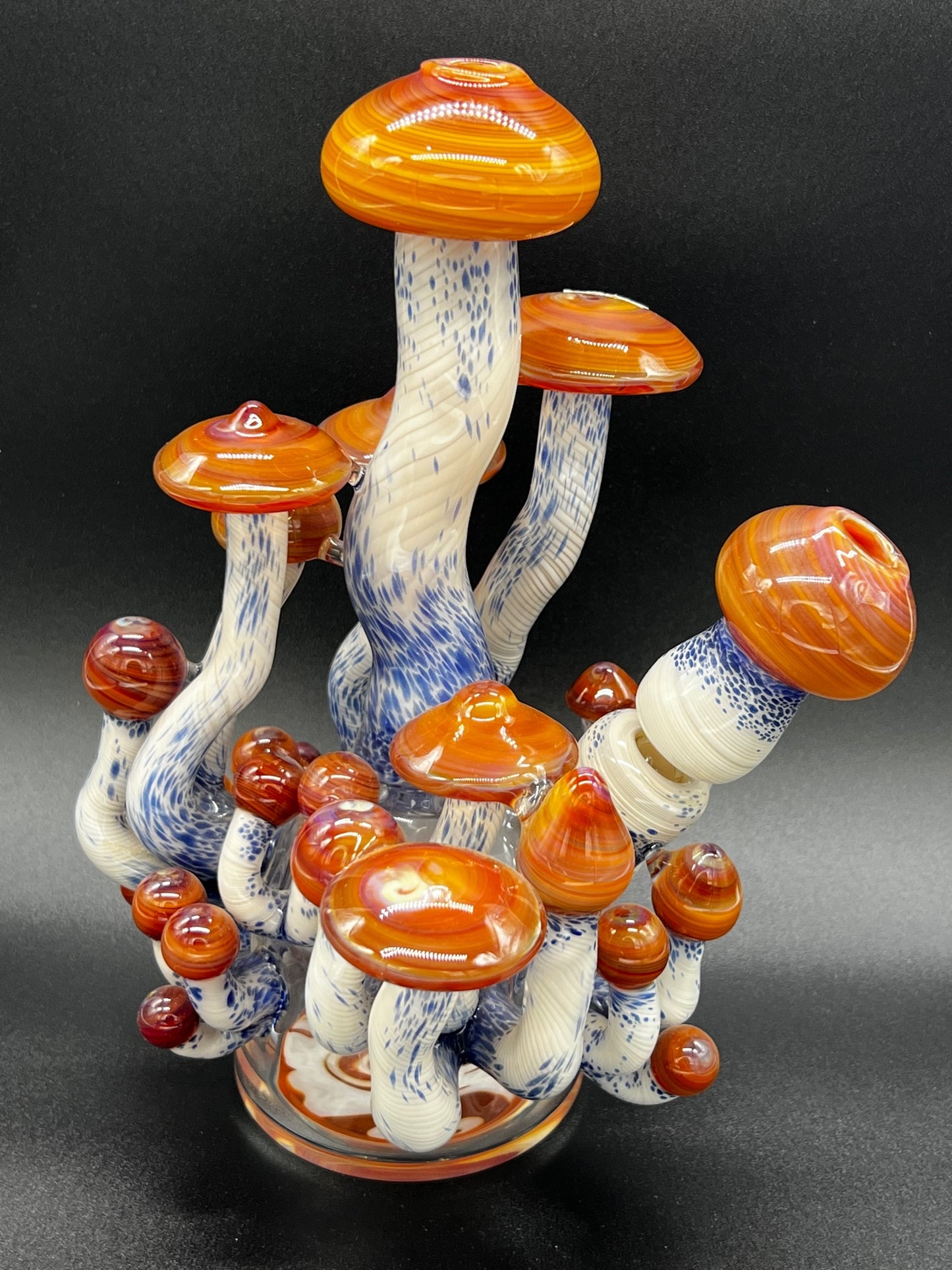 Casey Ferran Mushroom set