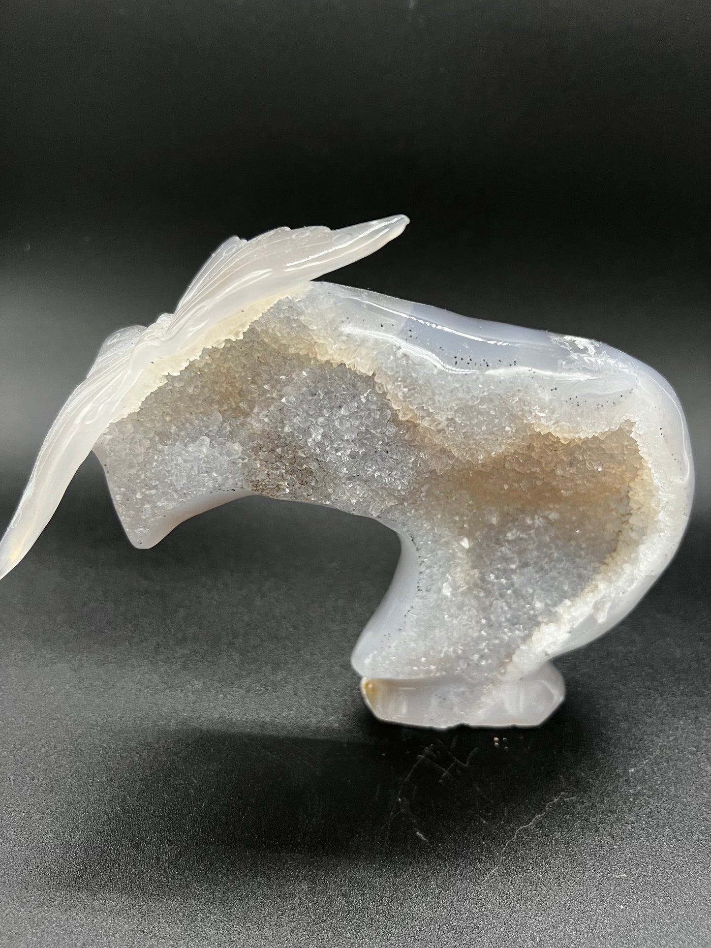 Agate butterfly