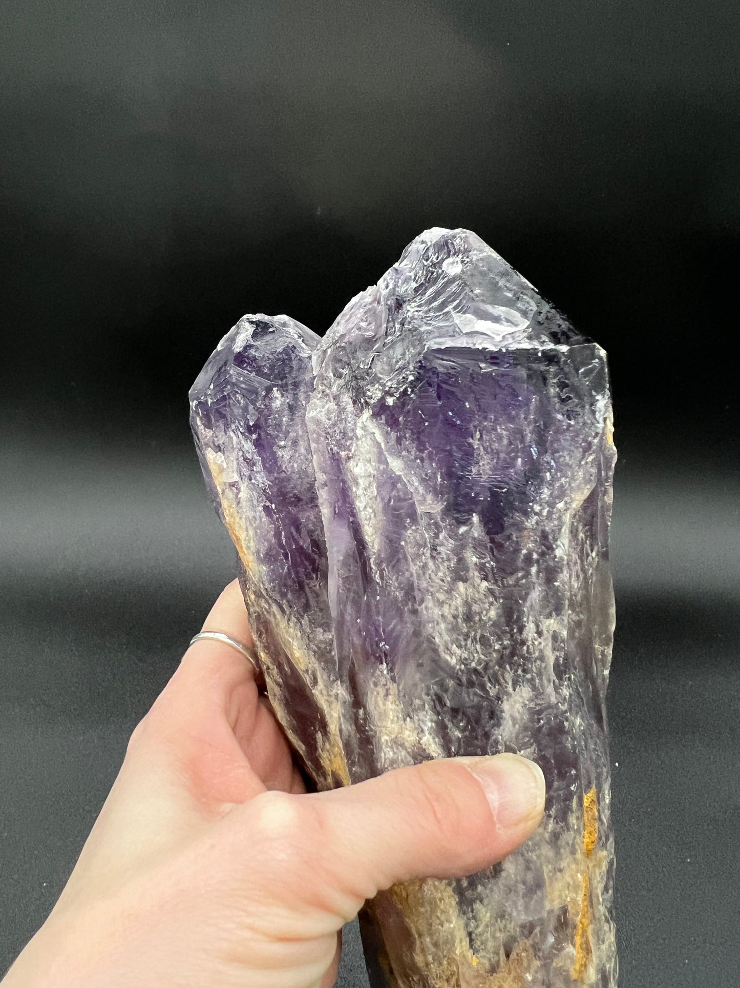 Amethyst Root