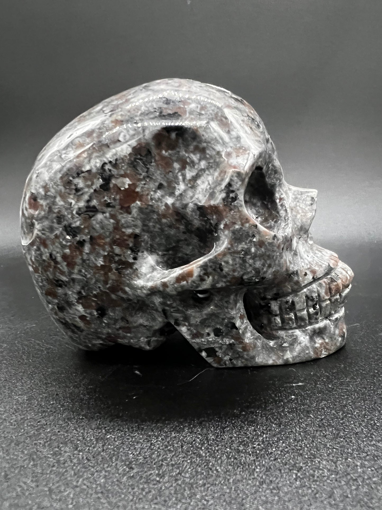 Yooperlite skull