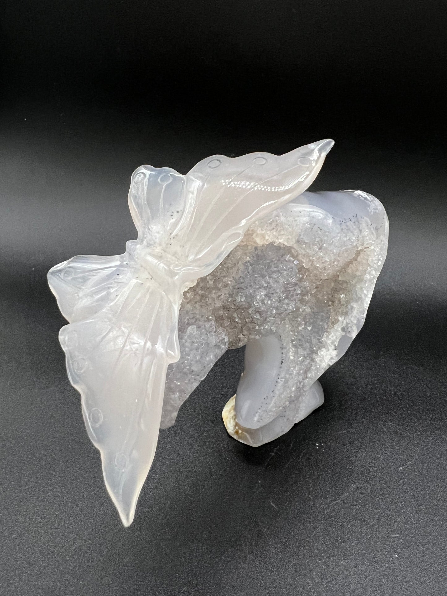 Agate butterfly