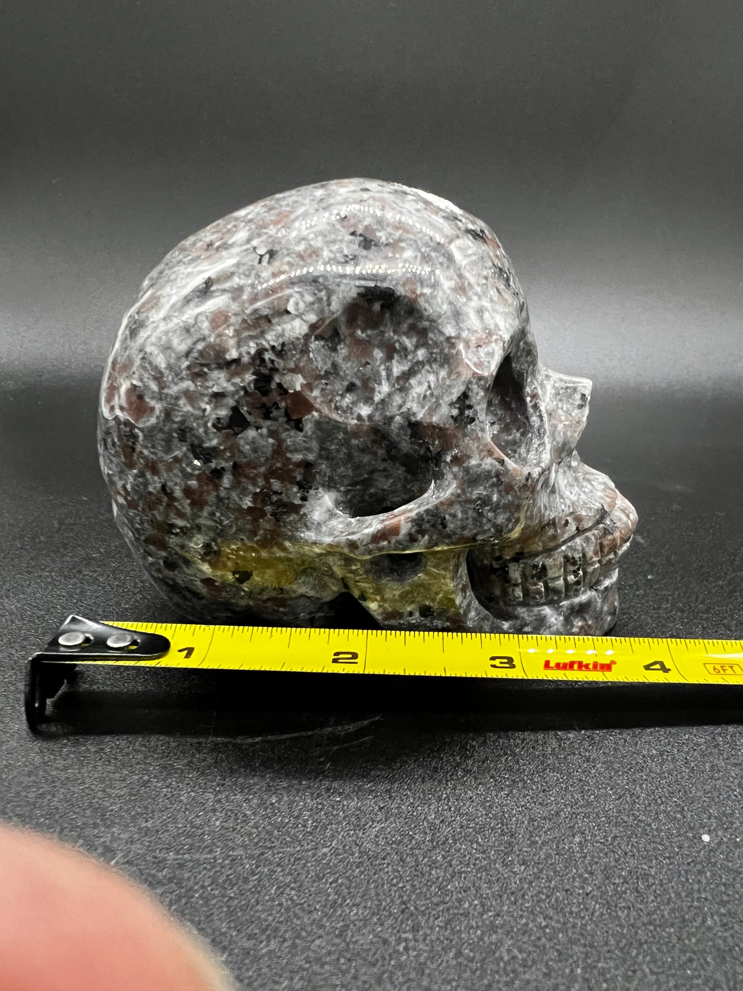 Yooperlite skull