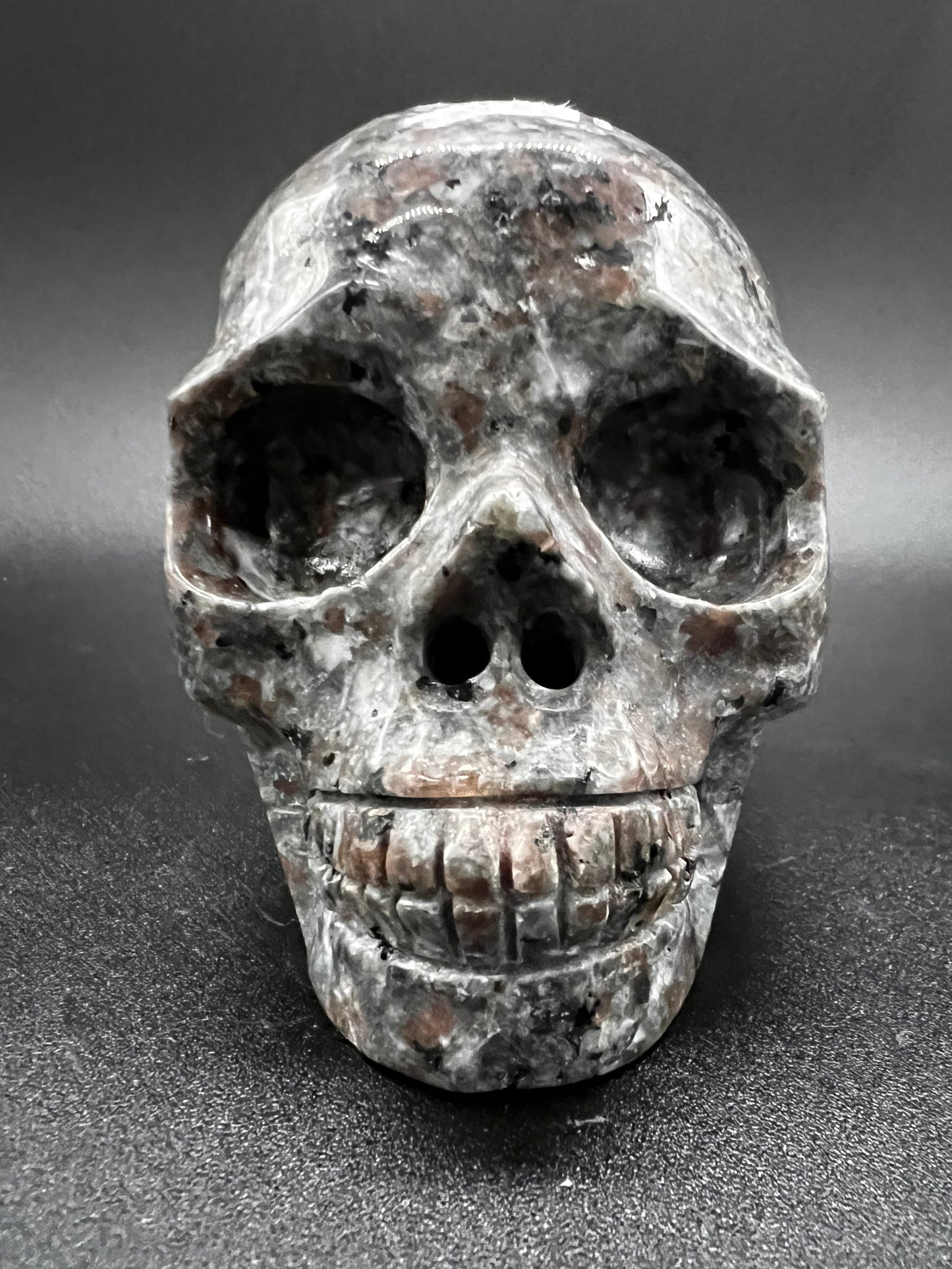 Yooperlite skull
